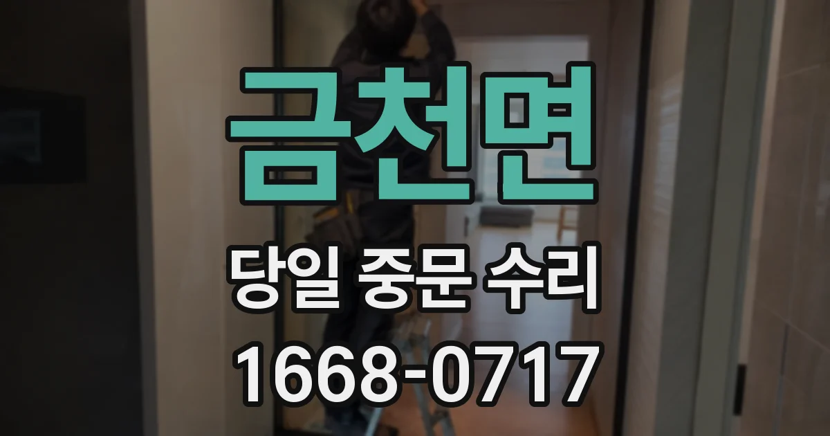 금천면 당일 중문 수리