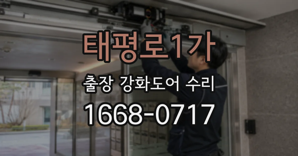 태평로1가 출장 강화도어 수리