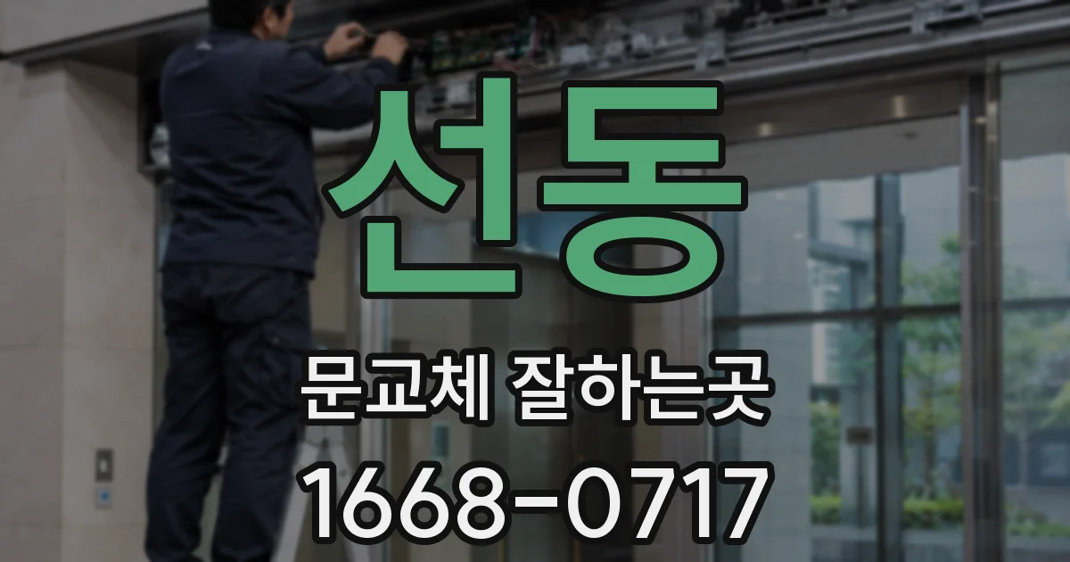 선동 문교체 잘하는곳