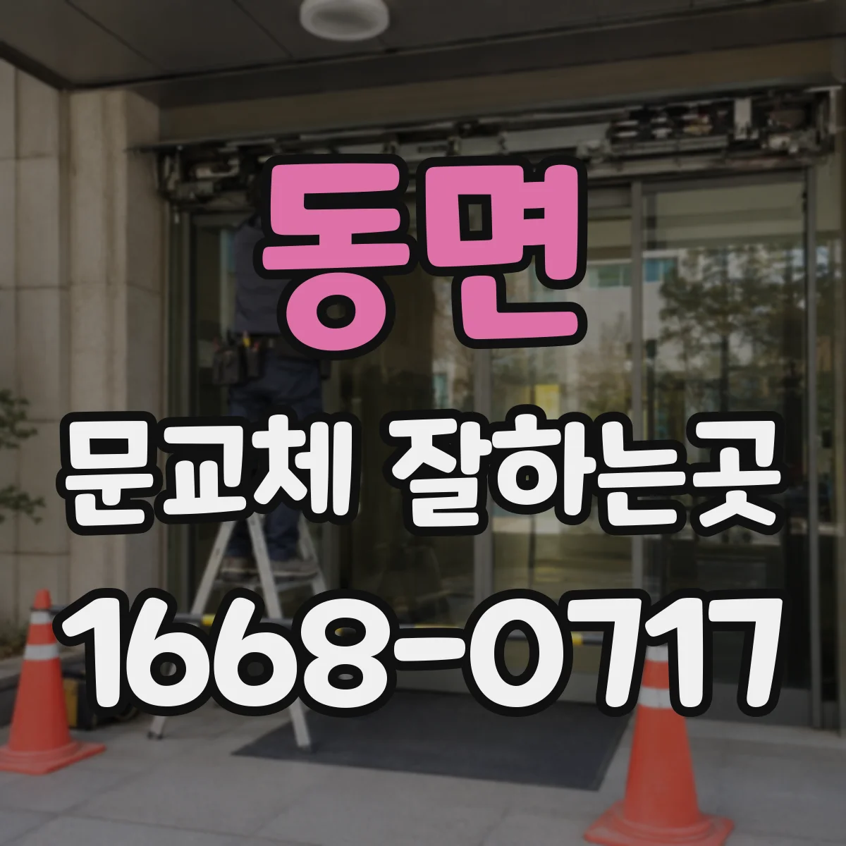 동면 문교체 잘하는곳