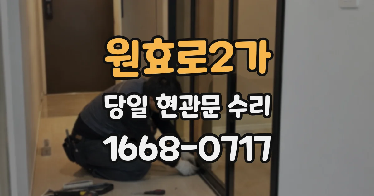 원효로2가 당일 현관문 수리