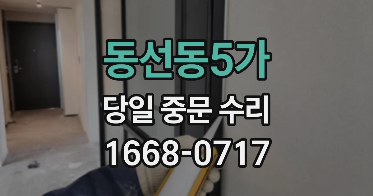 동선동5가 당일 중문 수리
