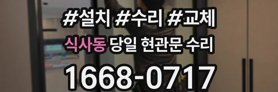 식사동 당일 현관문 수리