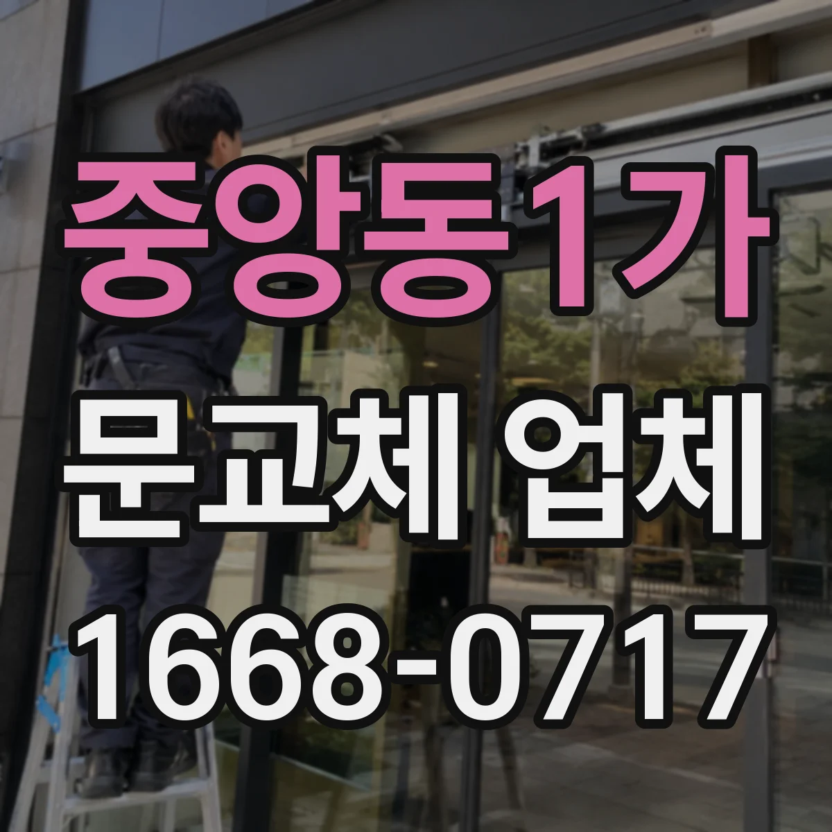 중앙동1가 문교체 업체