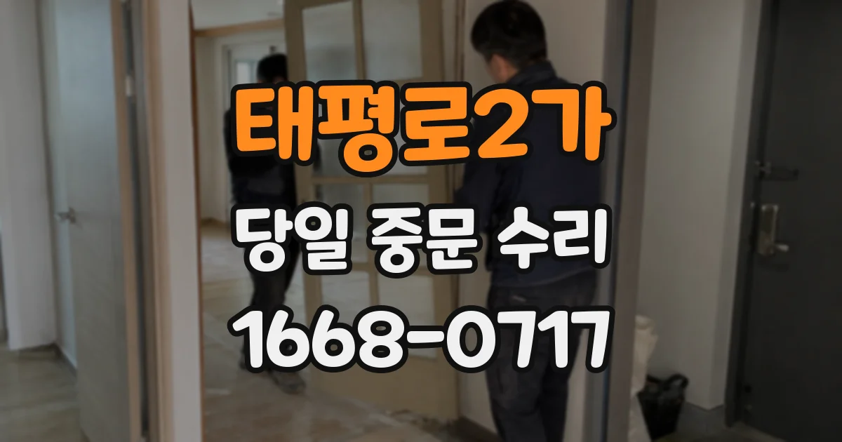 태평로2가 당일 중문 수리
