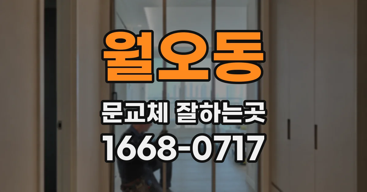 월오동 문교체 잘하는곳