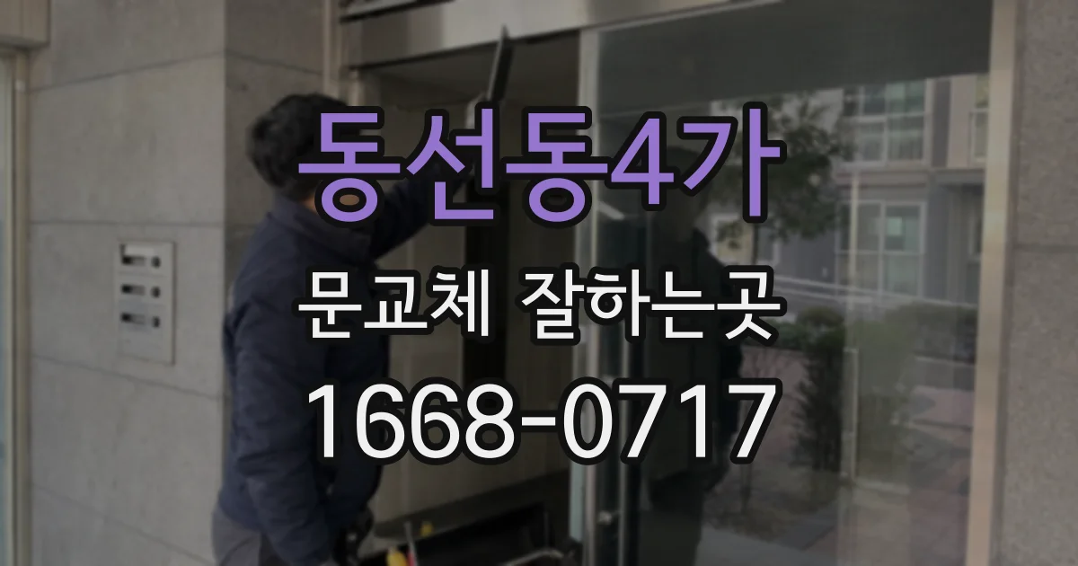 동선동4가 문교체 잘하는곳