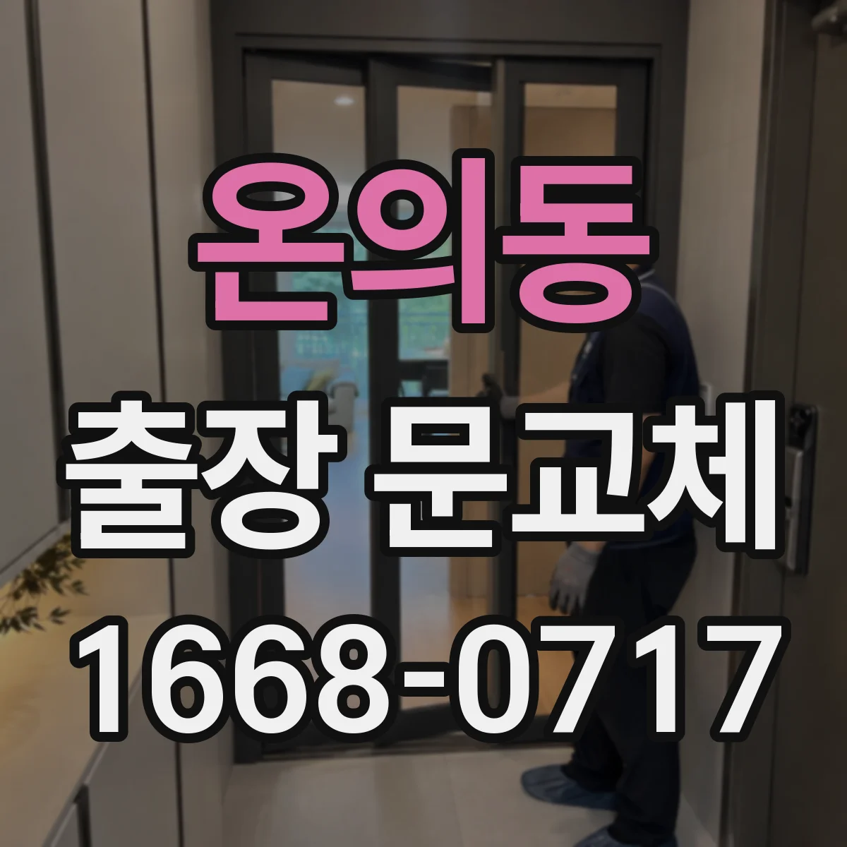 온의동 출장 문교체