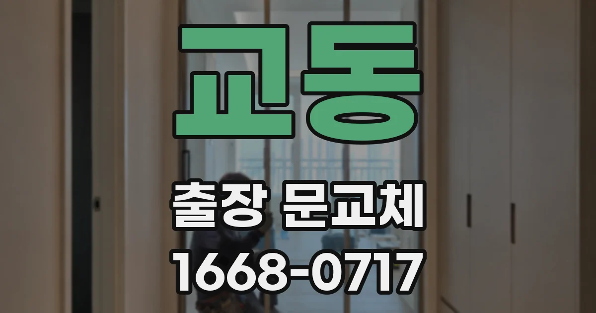 교동 출장 문교체