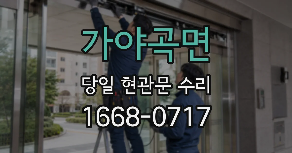 가야곡면 당일 현관문 수리