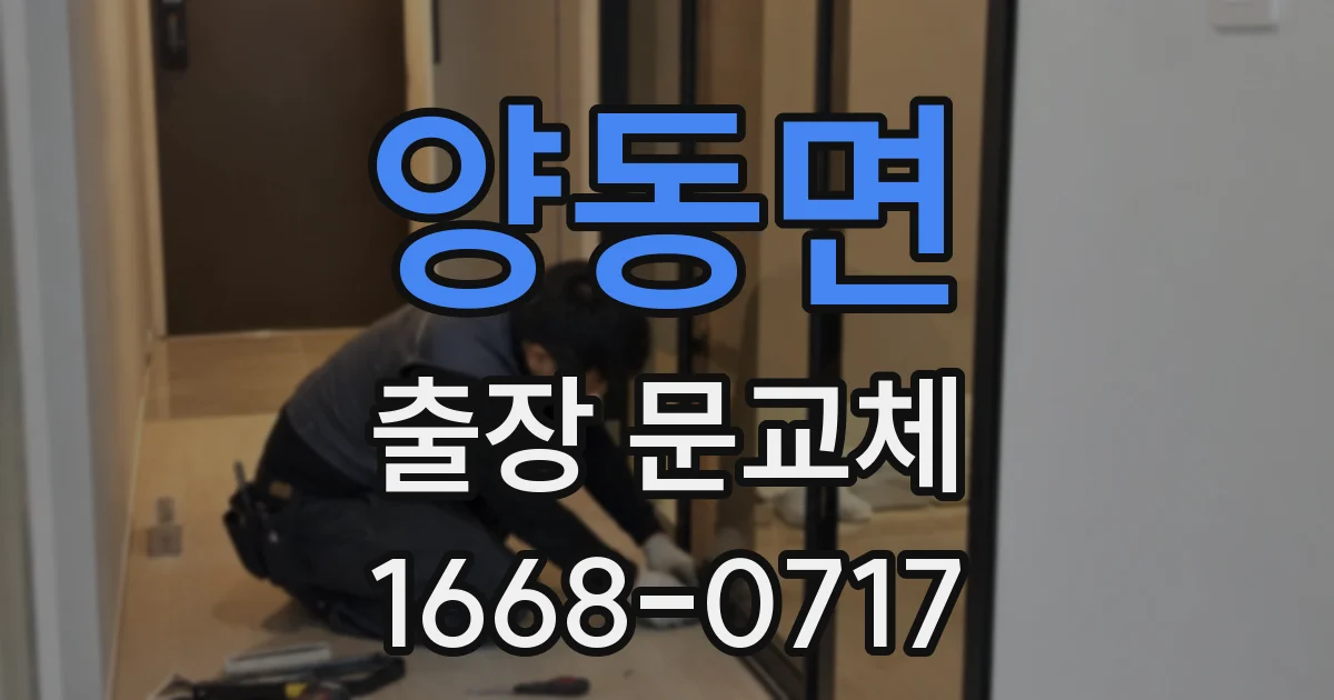 양동면 출장 문교체