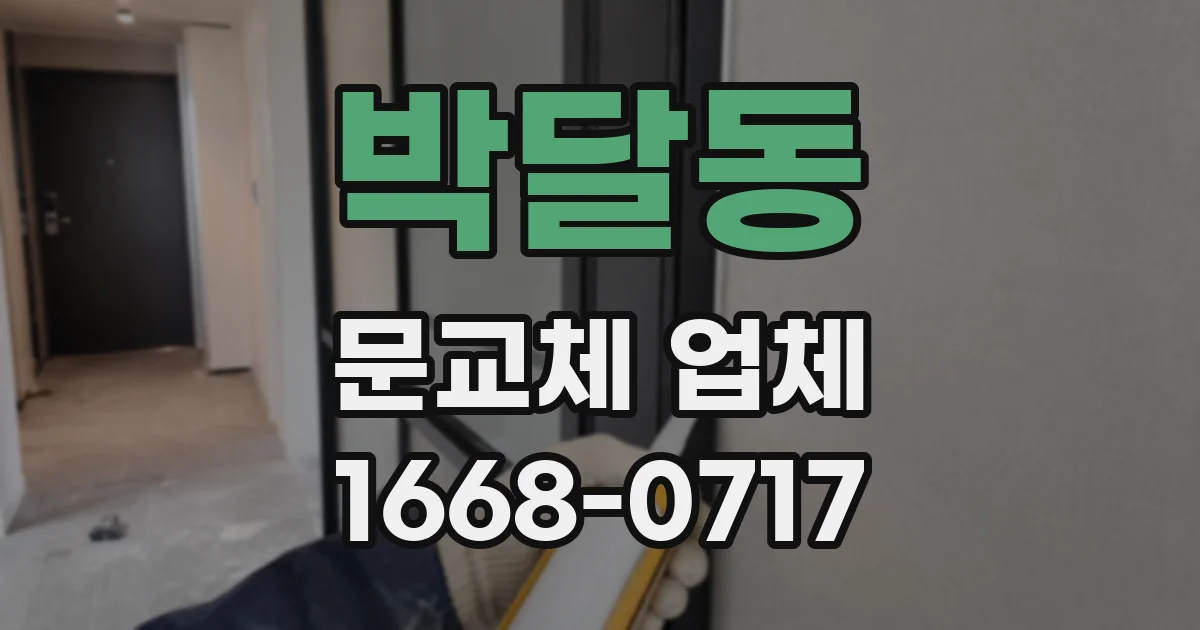 박달동 문교체 업체