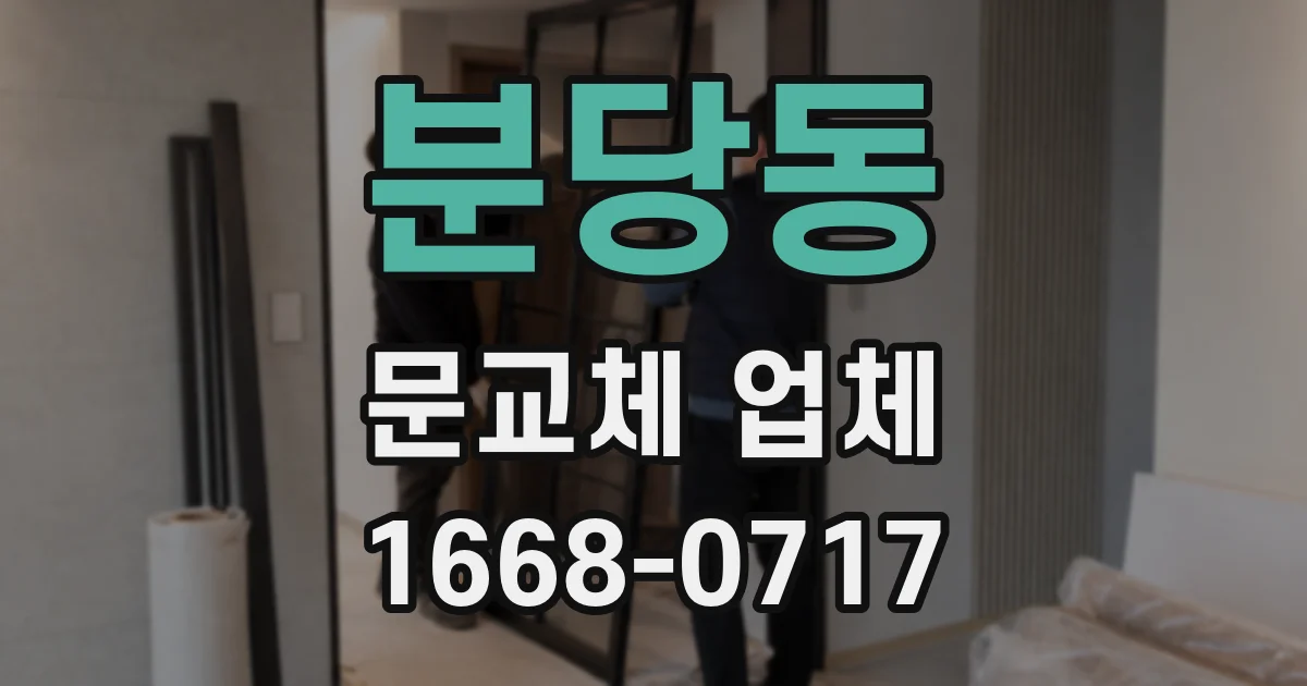 분당동 문교체 업체