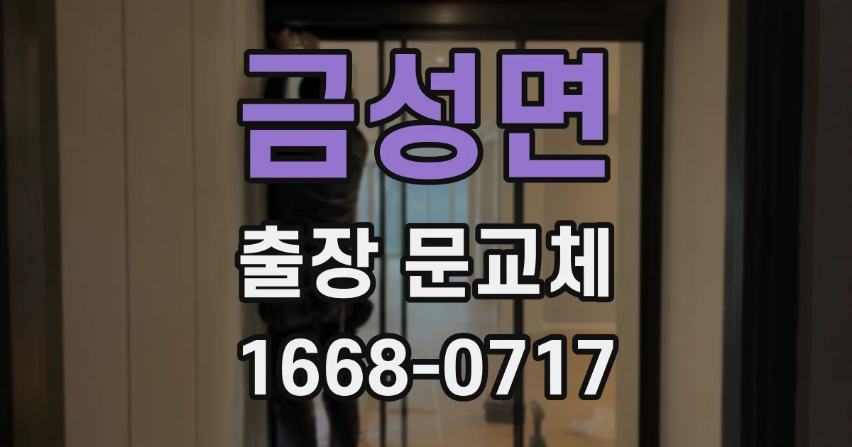 금성면 출장 문교체