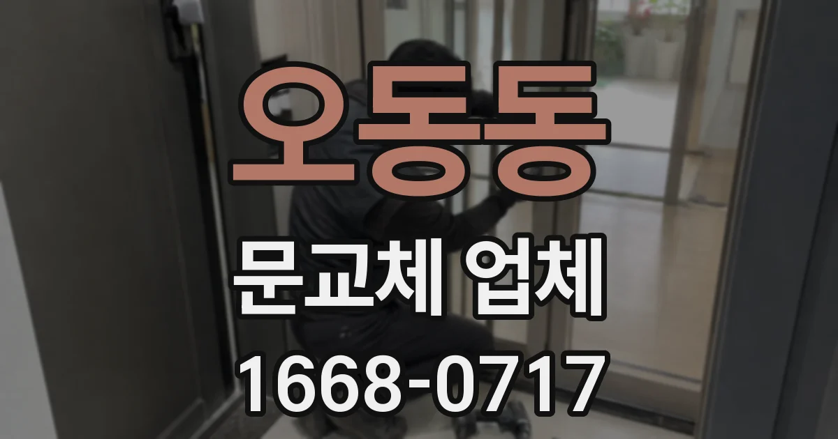 오동동 문교체 업체
