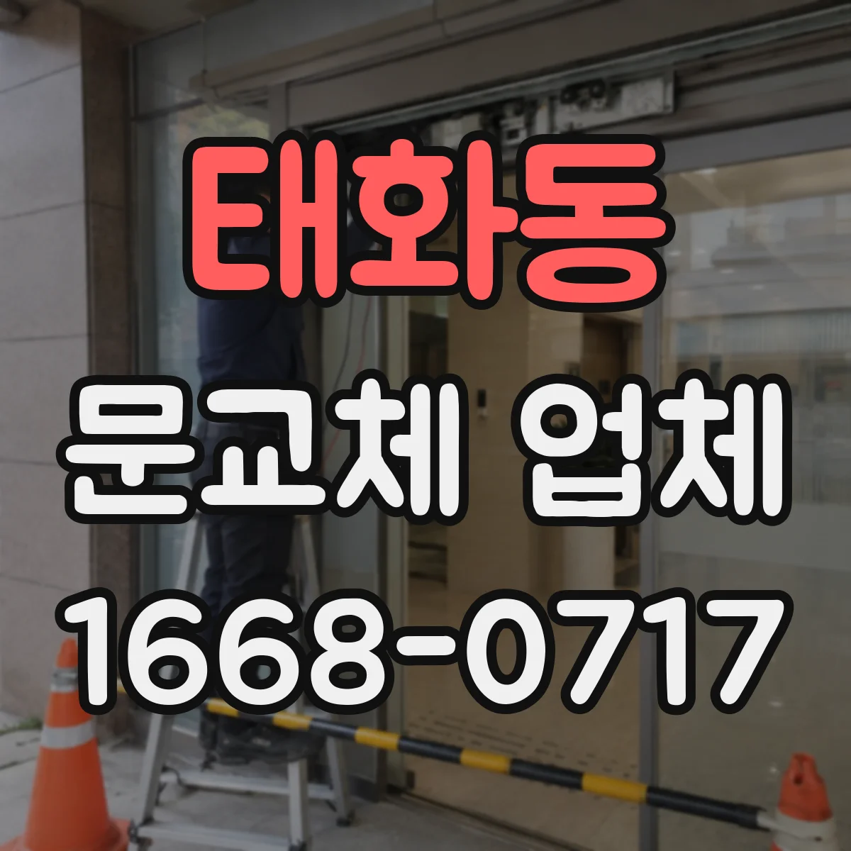 태화동 문교체 업체