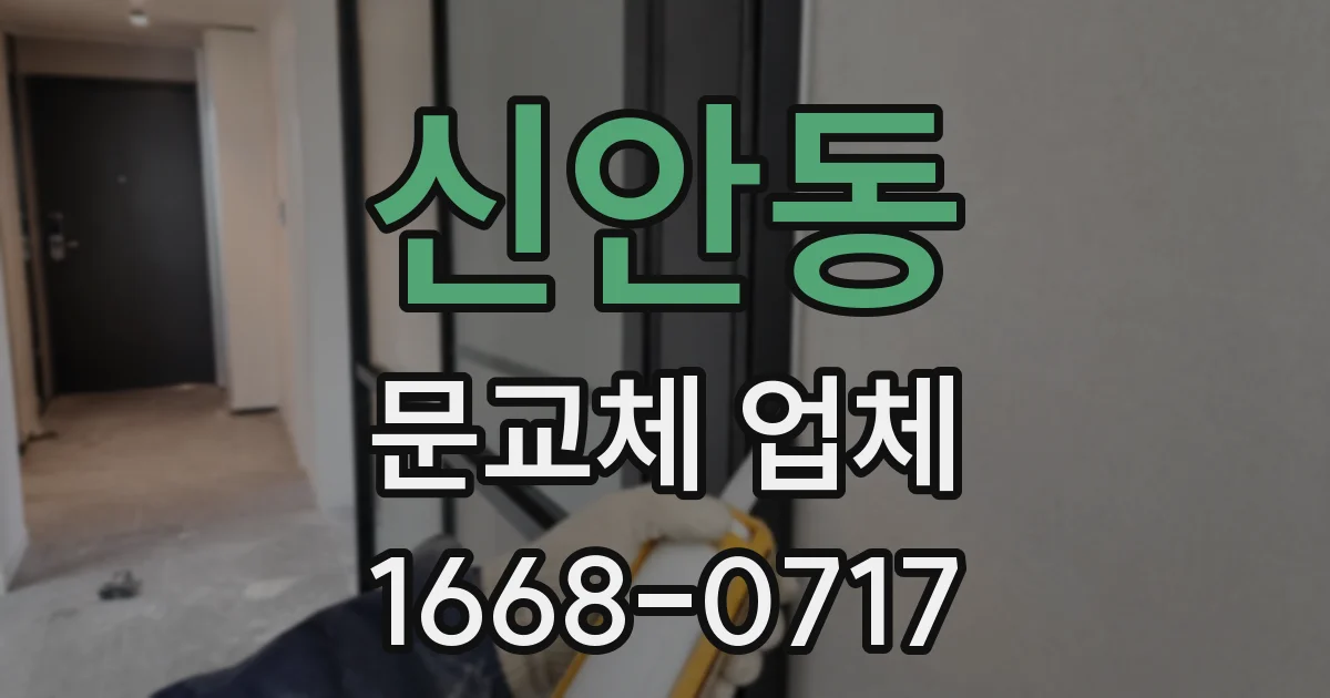 신안동 문교체 업체