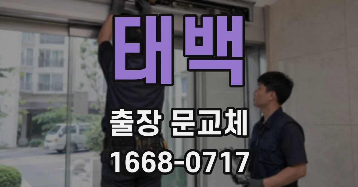 태백 출장 문교체