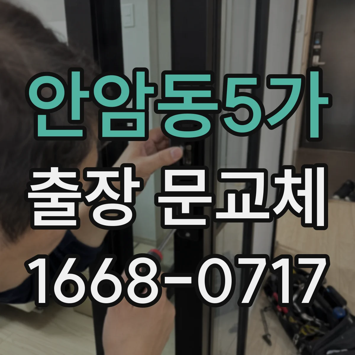 안암동5가 출장 문교체