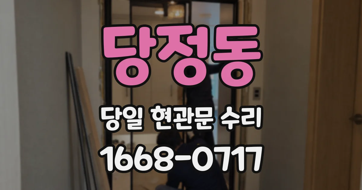 당정동 당일 현관문 수리