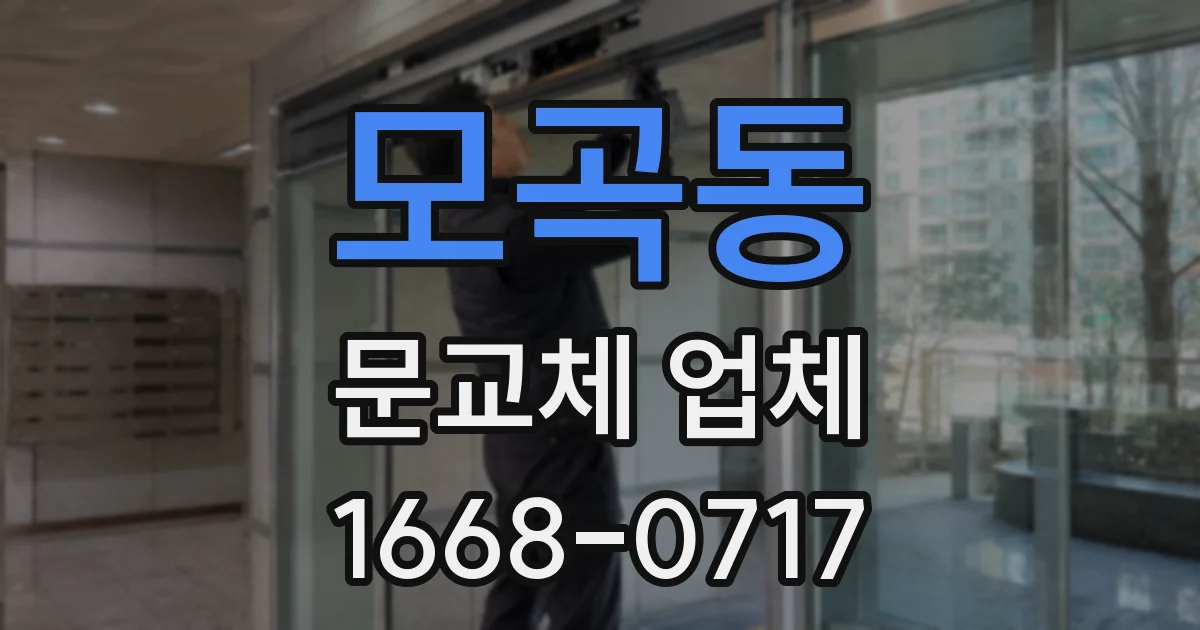 모곡동 문교체 업체