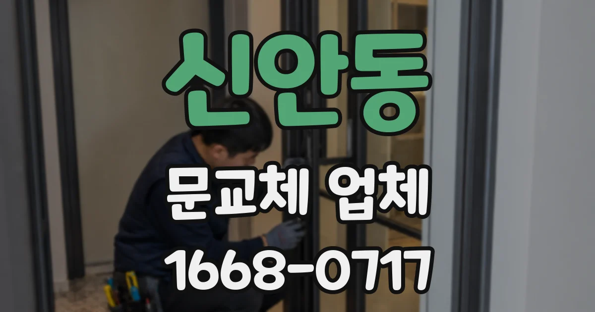 신안동 문교체 업체