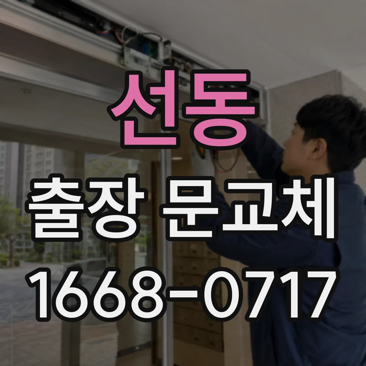 선동 출장 문교체