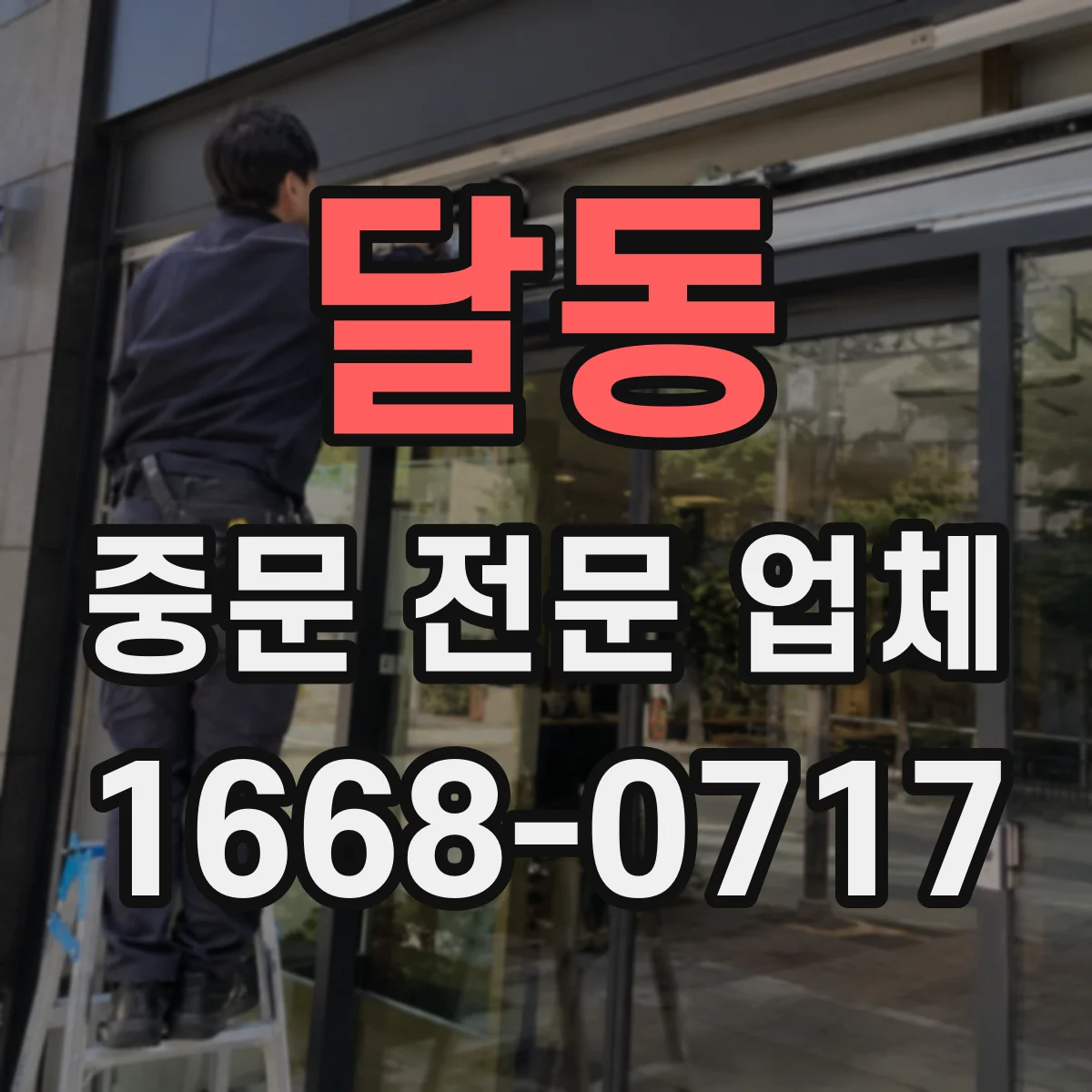 달동 중문 전문 업체
