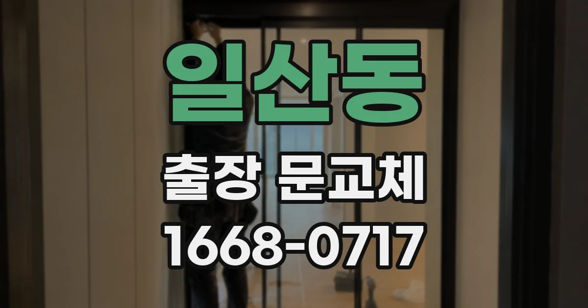 일산동 출장 문교체