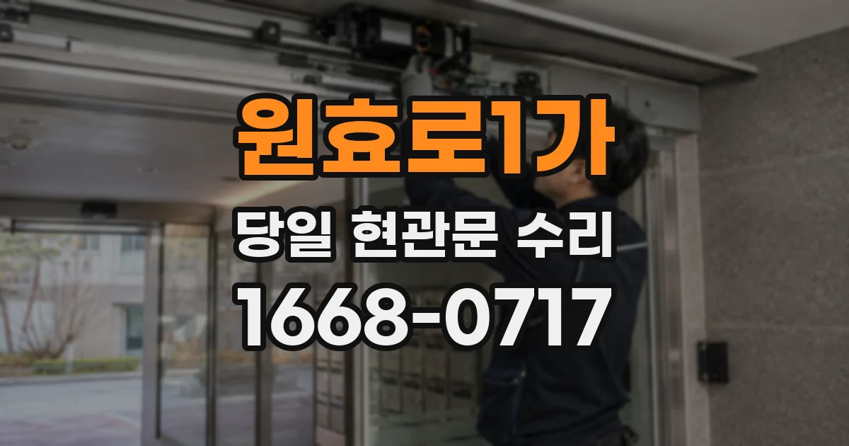 원효로1가 당일 현관문 수리