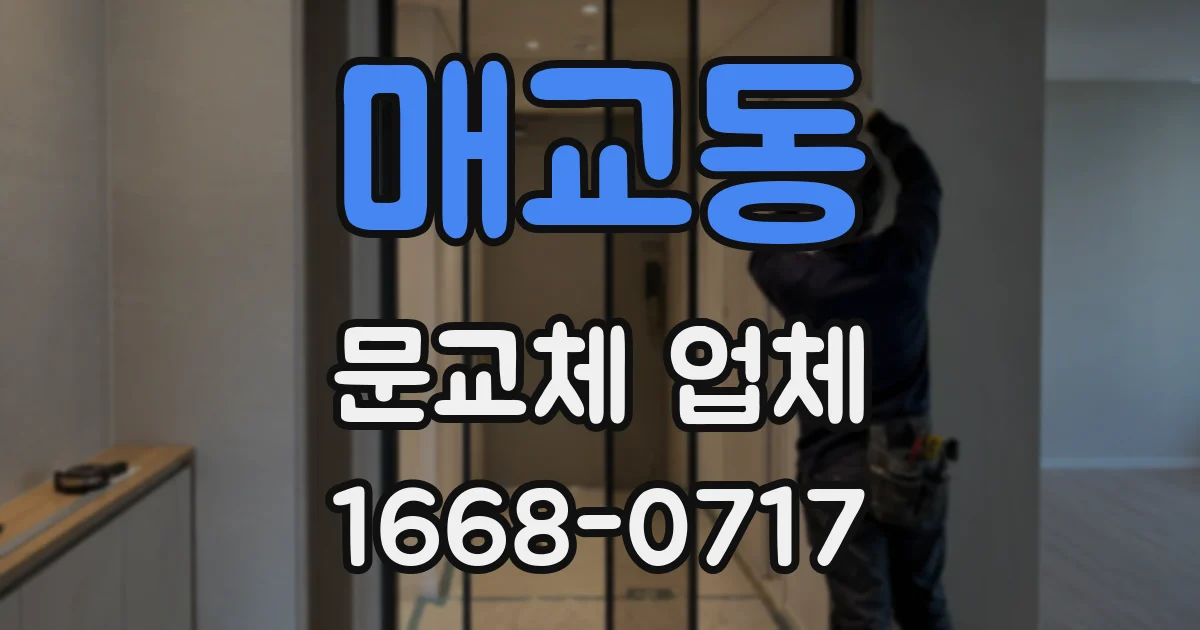 매교동 문교체 업체