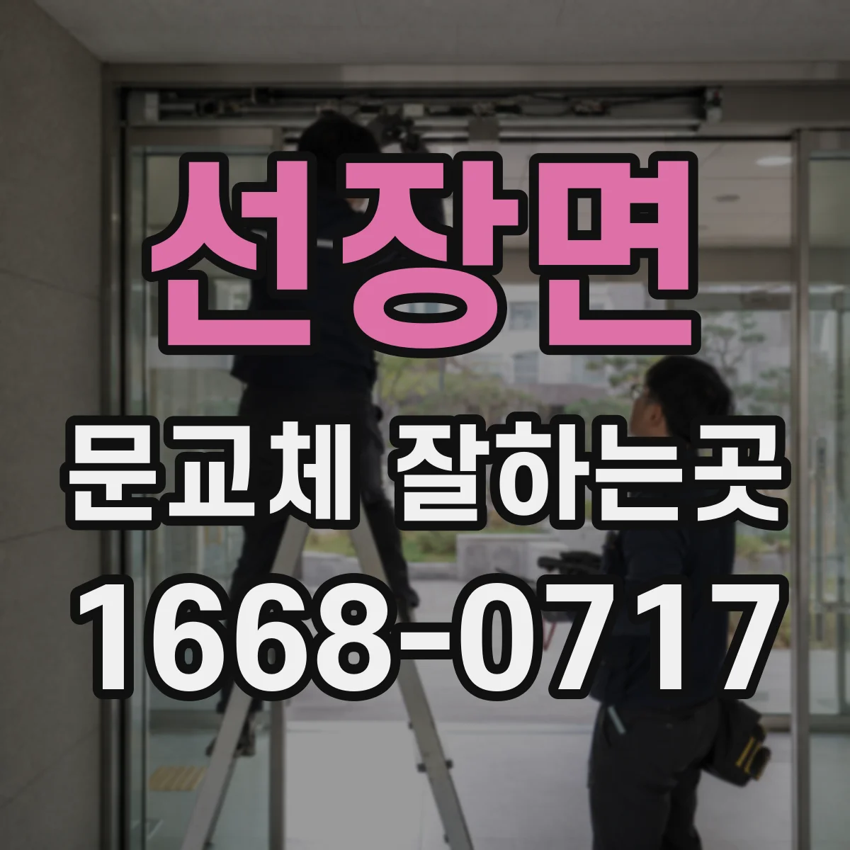 선장면 문교체 잘하는곳