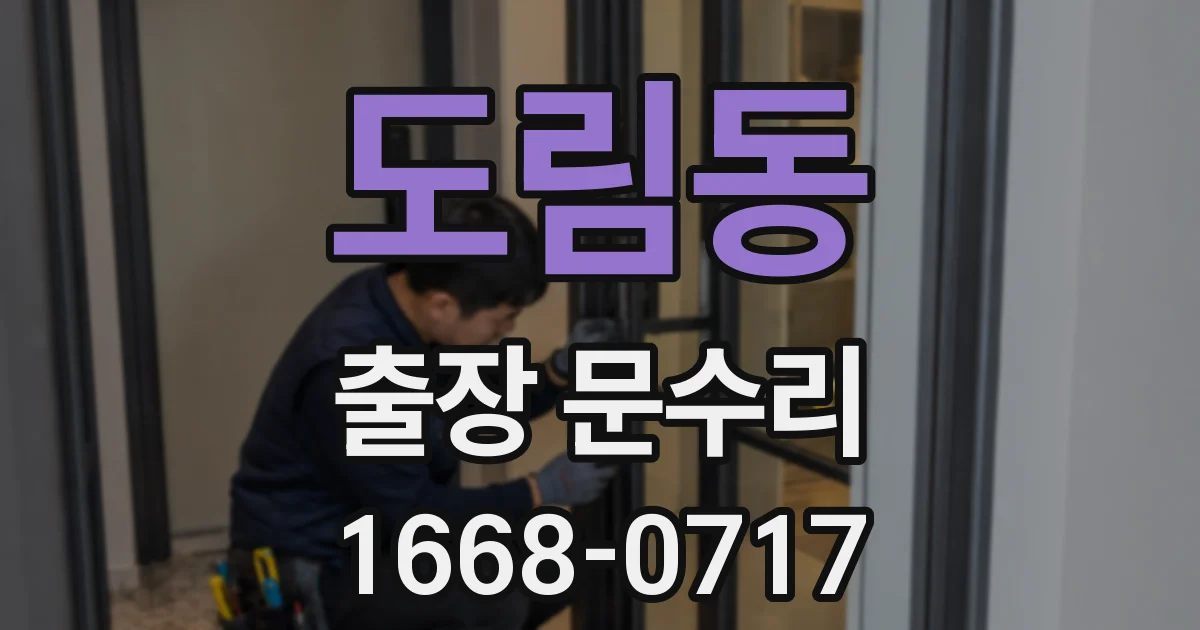 도림동 출장 문수리
