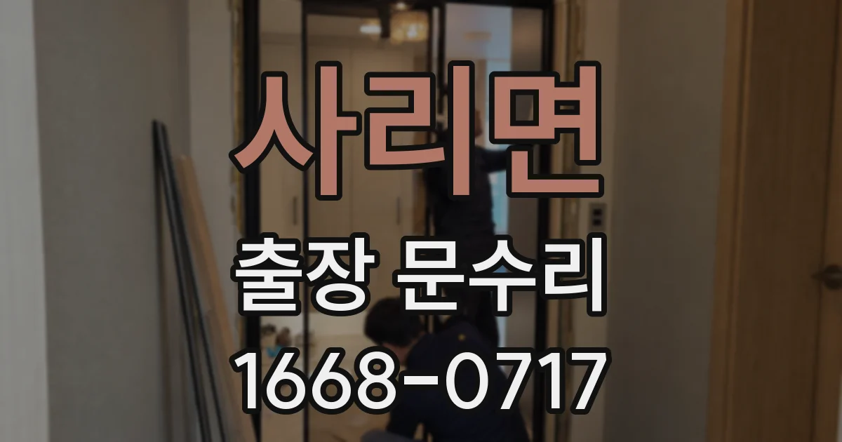 사리면 출장 문수리
