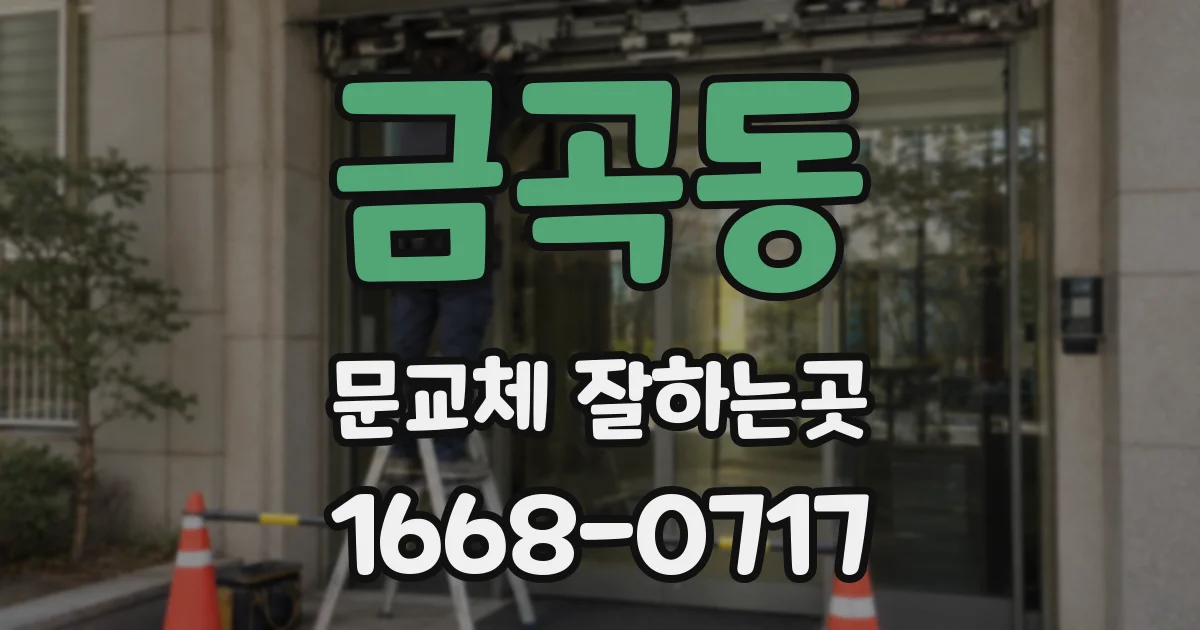 금곡동 문교체 잘하는곳