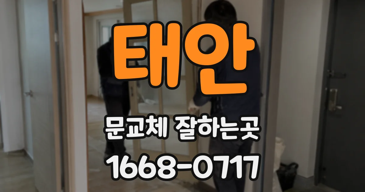 태안 문교체 잘하는곳