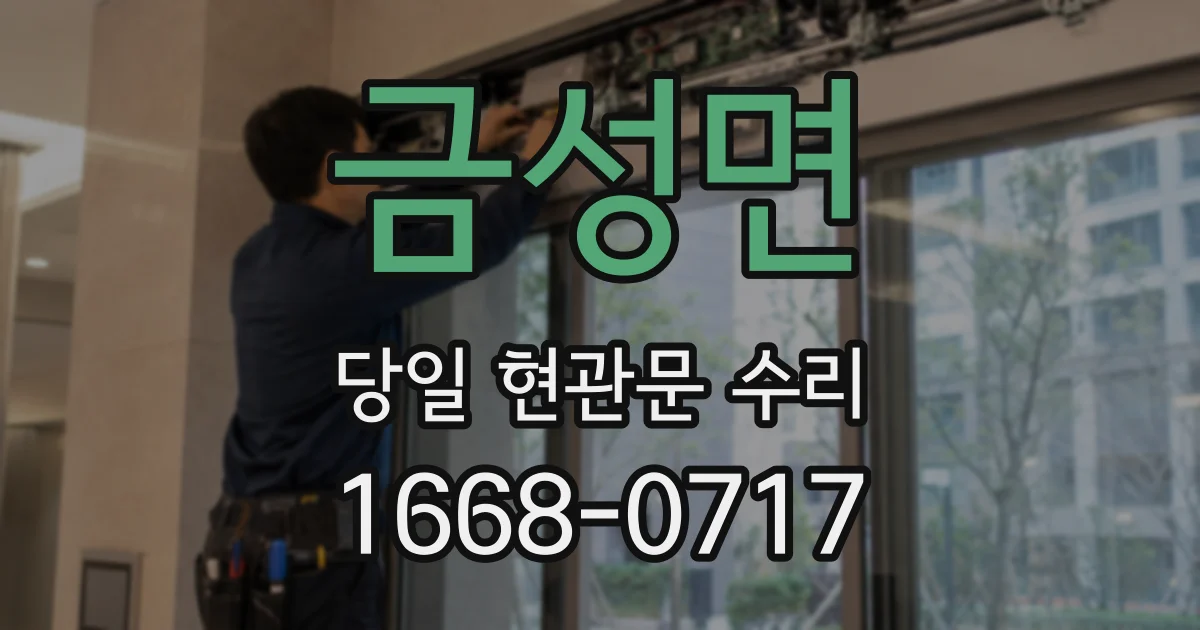 금성면 당일 현관문 수리