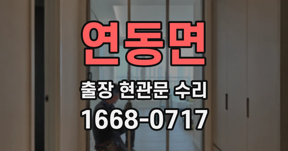 연동면 출장 현관문 수리