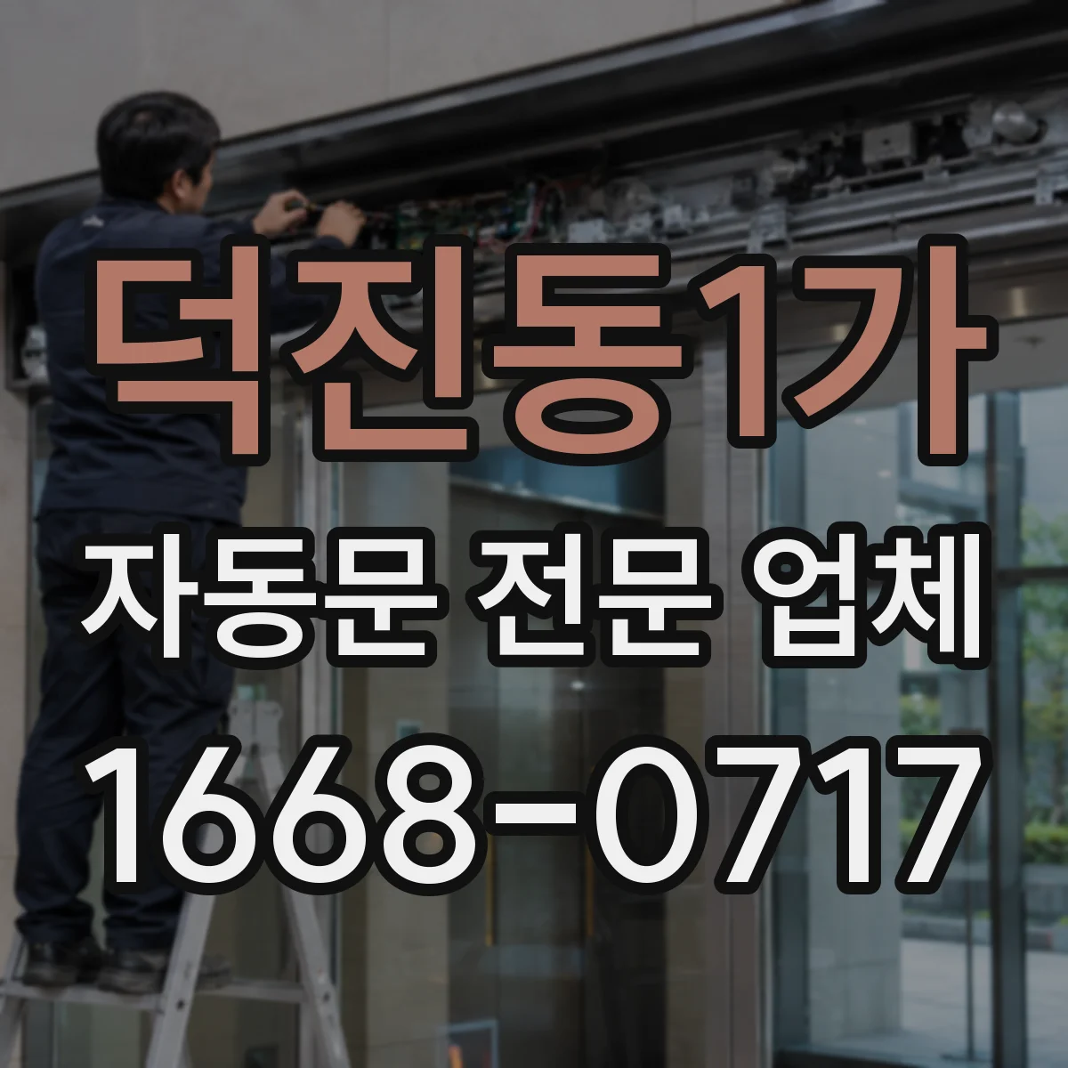 덕진동1가 자동문 전문 업체