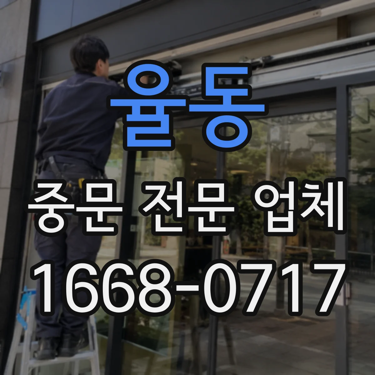 율동 중문 전문 업체