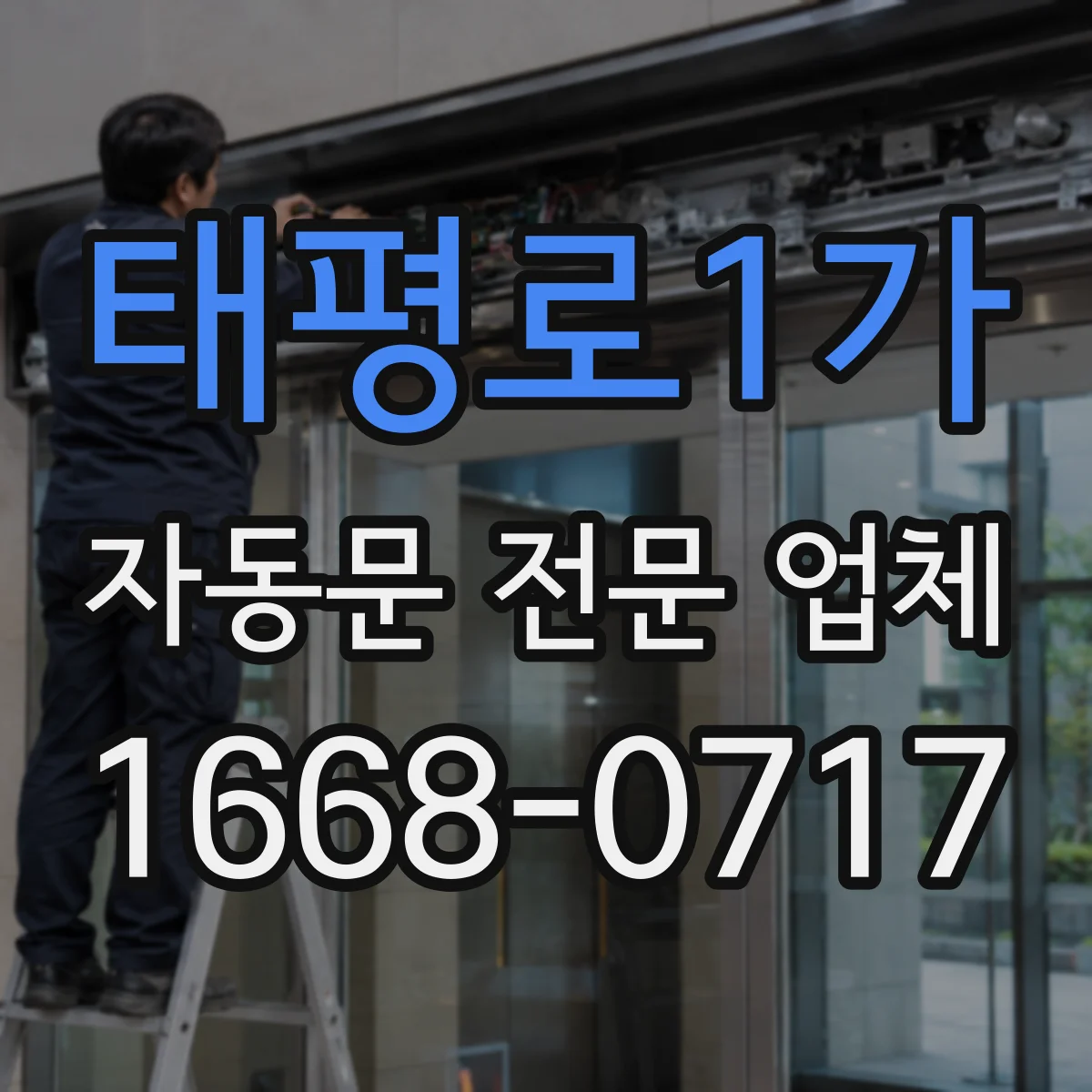 태평로1가 자동문 전문 업체