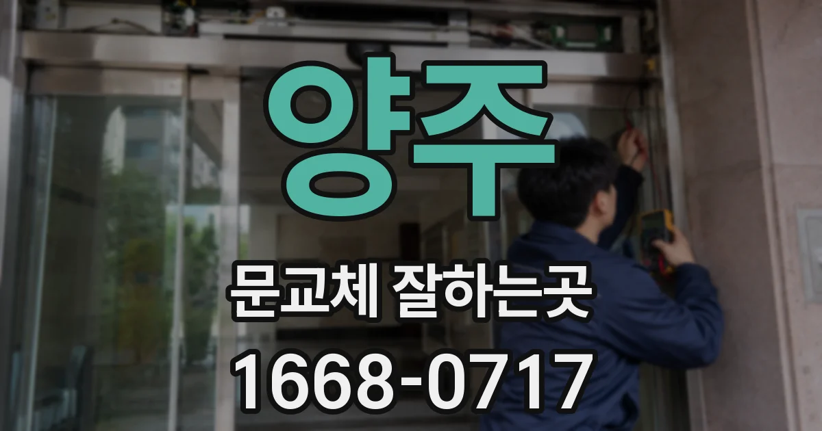 양주 문교체 잘하는곳