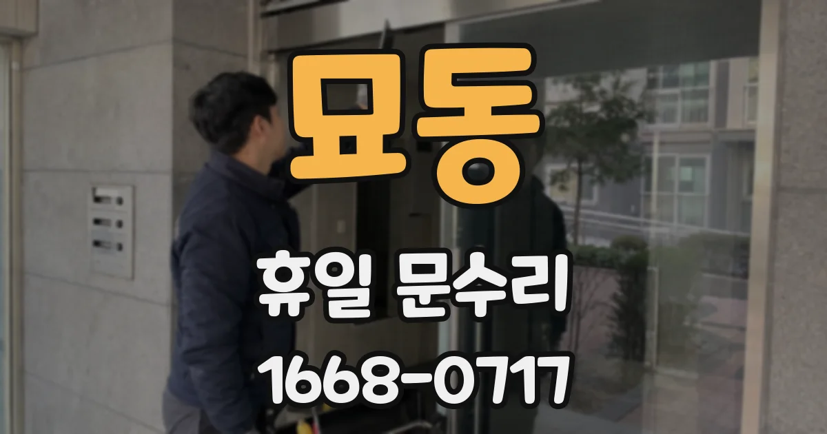묘동 휴일 문수리