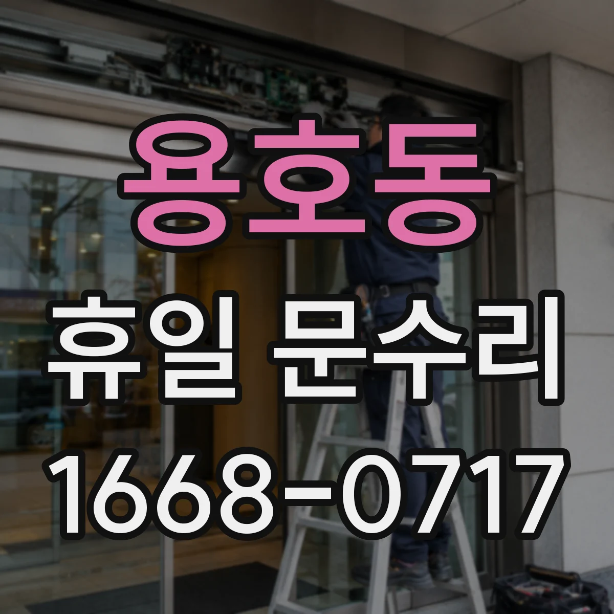 용호동 휴일 문수리