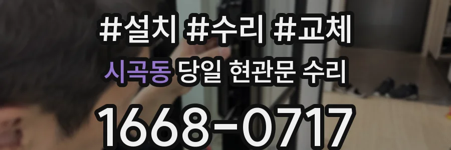 시곡동 당일 현관문 수리