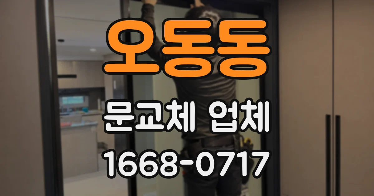 오동동 문교체 업체