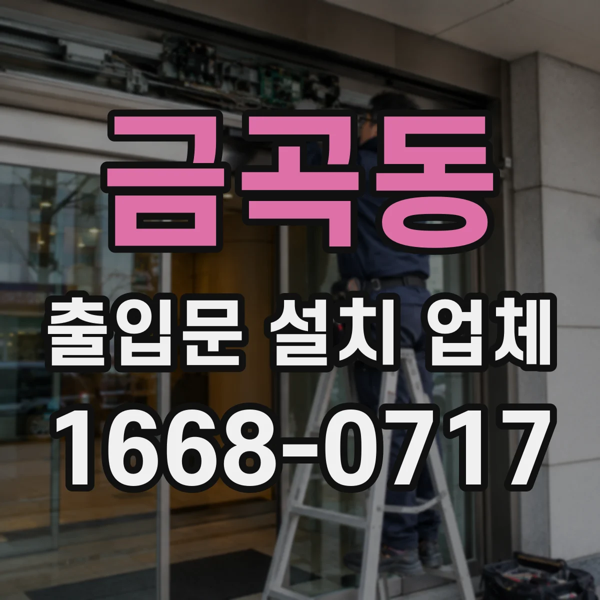 금곡동 출입문 설치 업체