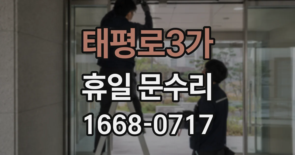 태평로3가 휴일 문수리
