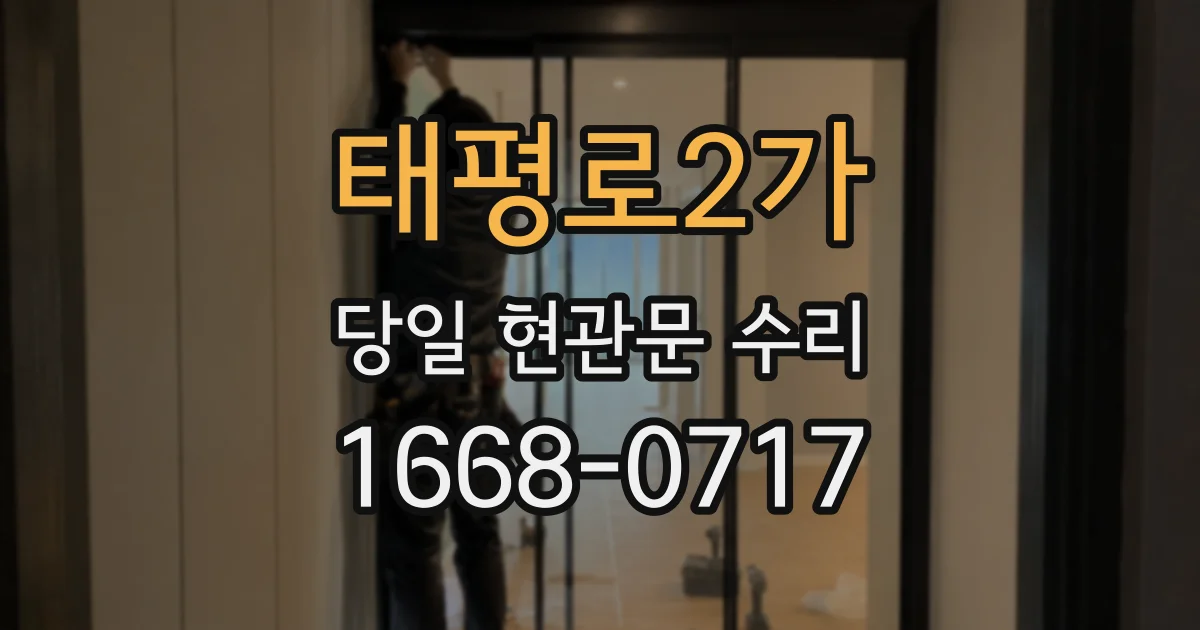 태평로2가 당일 현관문 수리
