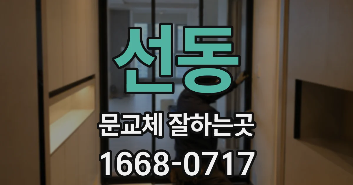선동 문교체 잘하는곳